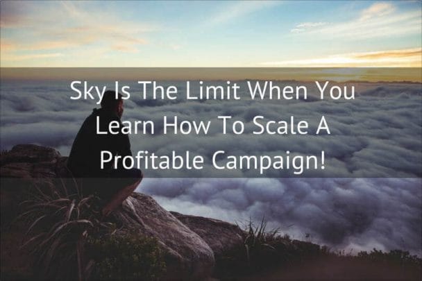 Scaling A Profitable Campaign copy