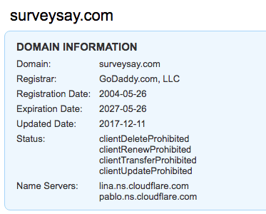 Whois information of surveysay.com