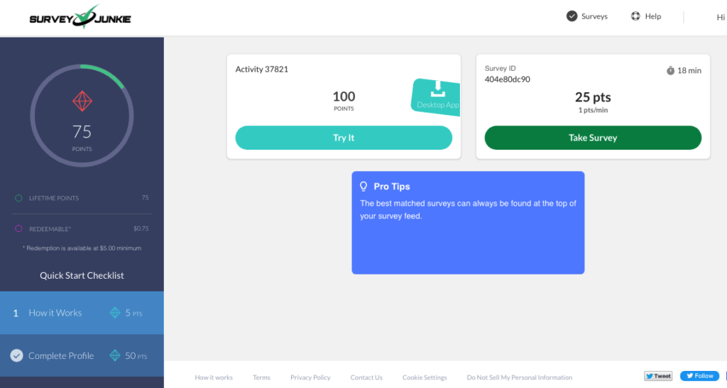 SurveyJunkie dashboard